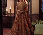 Pakistani Bridal Dress Red Pishwas Gown And Lehenga Style