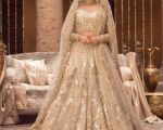 Gold Lehenga Choli Pakistani Bridal Dress