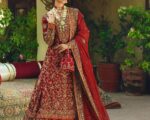 Embroidered Red Lehenga Shirt And Dupatta Pakistani Bridal Outfit