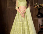 Weaved NET LEHENGA CHOLI