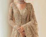 Embroidered Golden-beige Pakistani Bridal Lehenga Bridal Dress