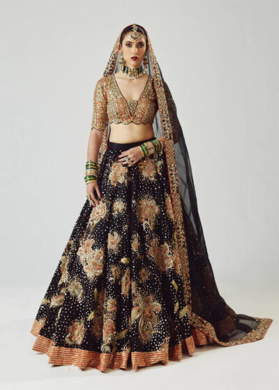 Decorated Dark Lehenga With Choli And Dupatta Dress