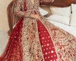 Pakistani Modern Embroidered Open Style Net Gown Bridal Dress