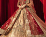 Brilliant Indian Wedding Dress For Marriage Wear