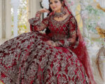 Elegant Indian bridal dress