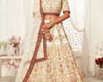 Silk Weaved Wedding Lehenga Choli