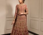 Pakistani Bridal Red Net Lehenga Gown Wedding Outfit