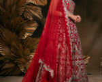 DEEP RED INDIAN BRIDAL GOWN