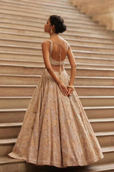 Blush Pink Organza Lehenga