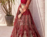 Indian Bridal Dress Red Lehenga Choli And Dupatta Outfit