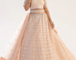 Peach Net Weaved Wedding Lehenga Choli