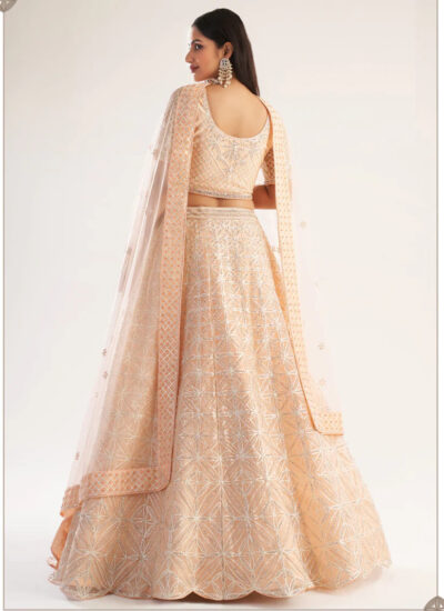 Peach Net Weaved Wedding Lehenga Choli 2