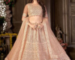 Weaved NET LEHENGA CHOLI