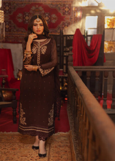 Elegant Embroidered Brown Pakistani Party Dress - Image 3