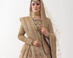 Adorned Brilliant Lehenga Choli With Dupatta Dress