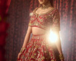 Elegant Indian Wedding Red Lehenga Choli Bridal Wear