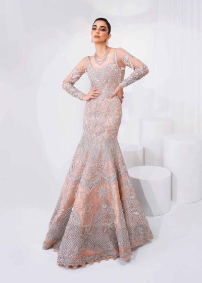 Pakistani Bridal Dress Pink Embroidered Gown And Dupatta Style