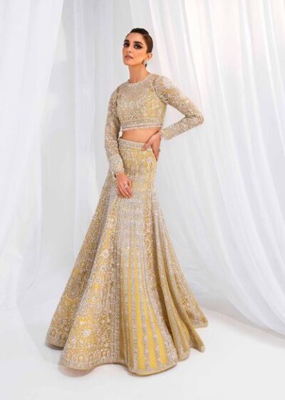 Pakistani Bridal Dress Lehenga Choli Dress in Open Style