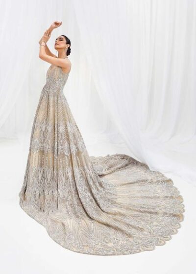 Embellished Pakistani Bridal Dress In Gown & Dupatta Style