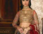 Pakistani Wedding Dress Red Bridal Lehenga Embellished Outfit