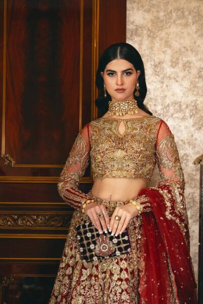 Pakistani Wedding Dress Red Bridal Lehenga Embellished Outfit