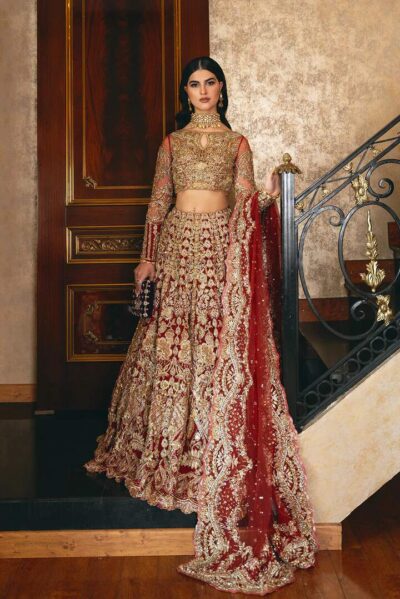 Pakistani Wedding Dress Red Bridal Lehenga Embellished Outfit