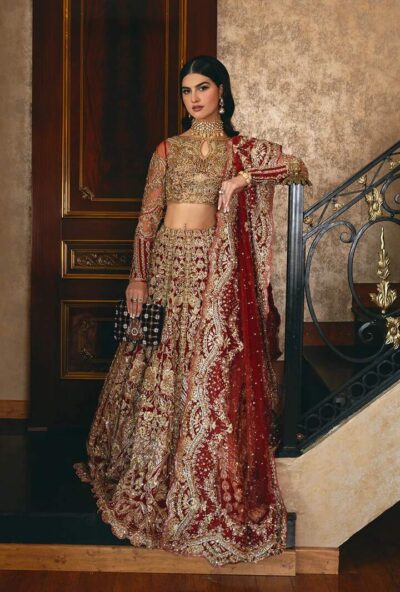 Pakistani Wedding Dress Red Bridal Lehenga Embellished Outfit