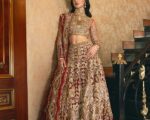 Pakistani Wedding Dress Red Bridal Lehenga Embellished Outfit