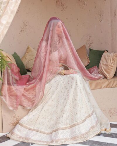 Pakistani Bridal Hand Embroidered Chikankari Chiffon Choli Outfit