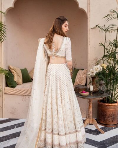 Pakistani Bridal Hand Embroidered Chikankari Chiffon Choli Outfit