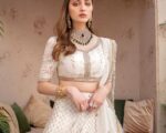 Pakistani Bridal Hand Embroidered Chikankari Chiffon Choli Outfit