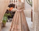 Pakistani Bridal Dress Silk Lehenga Net Choli Wedding Outfit