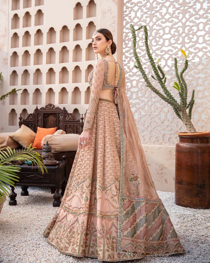 Pakistani Bridal Dress Silk Lehenga Net Choli Wedding Outfit