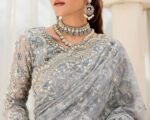 Pakistani Ice Blue Saree Embroidered Styling For Wedding