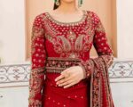 Embroidered Pakistani Marriage Dress In Dark Red Saree Style