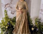 Light Brown Embroidered Pakistani Silk Bridal Saree Dress