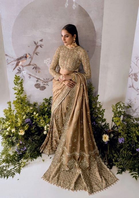 Light Brown Embroidered Pakistani Silk Bridal Saree Dress