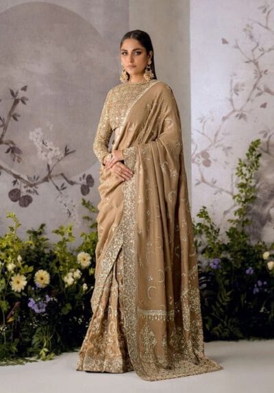 Light Brown Embroidered Pakistani Silk Bridal Saree Dress