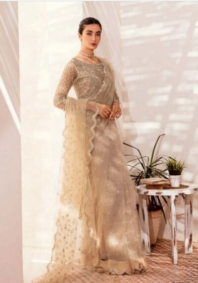 Embellished Cream Pakistani Bridal Net Saree Wedding Dress