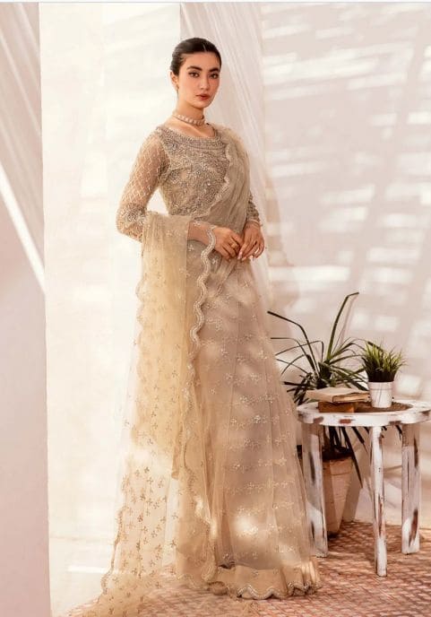 Embellished Cream Pakistani Bridal Net Saree Wedding Dress Nameera Bridal