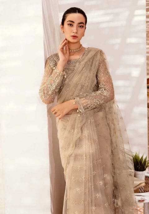 Embellished Cream Pakistani Bridal Net Saree Wedding Dress