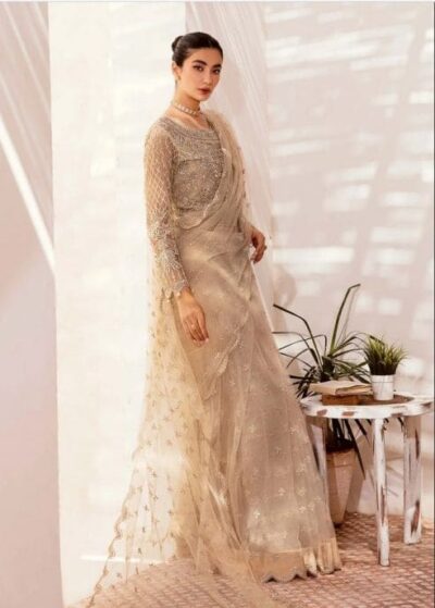 Embellished Cream Pakistani Bridal Net Saree Wedding Dress