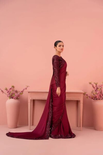 Pakistani Embellished Maroon Moon Light Bridal Saree Outfit