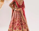 Pakistani Bridal dress Maroon Lehenga Choli Embellished Outfit