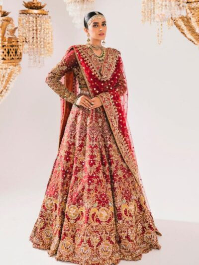 Pakistani Bridal dress Maroon Lehenga Choli Embellished Outfit