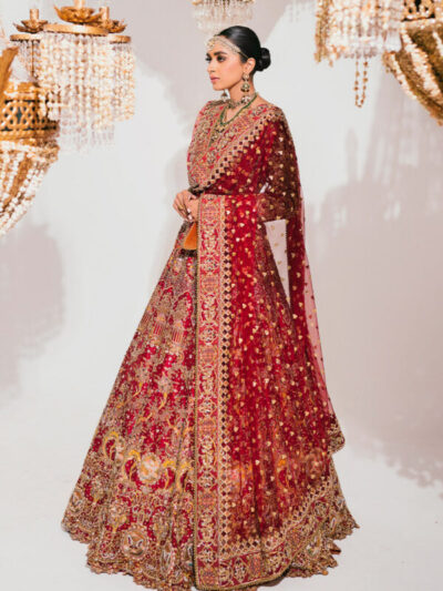 Pakistani Bridal dress Maroon Lehenga Choli Embellished Outfit