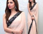 Indian Bridal Chiffon Saree