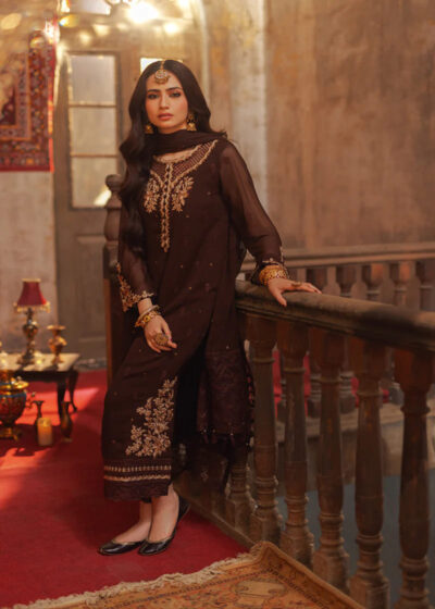 Elegant Embroidered Brown Pakistani Party Dress - Image 4