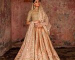 Embellished Rust Tangerine Modern Lehenga Choli Bridal Dress