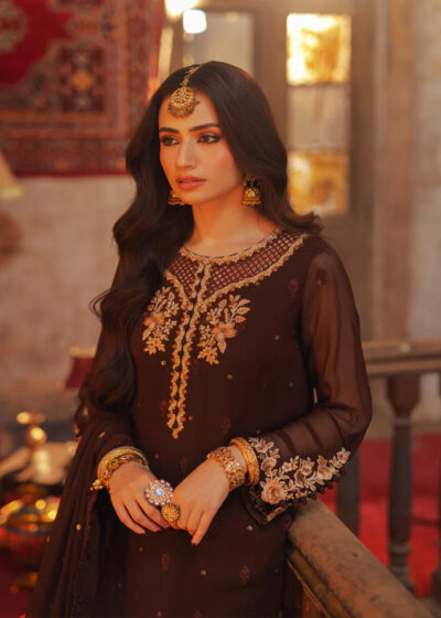 Elegant Embroidered Brown Pakistani Party Dress - Image 5